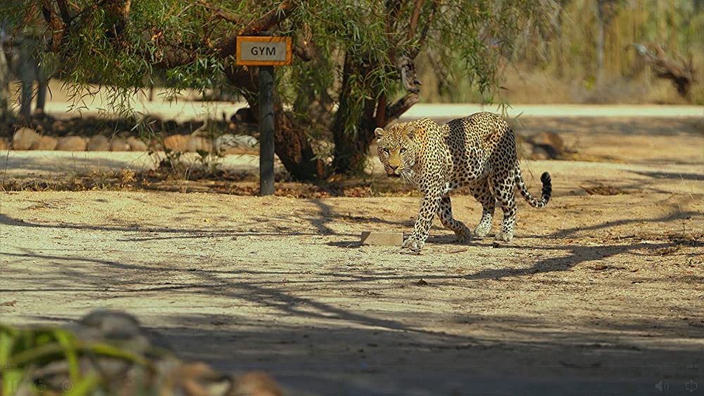 その年、地球が変わったの画像