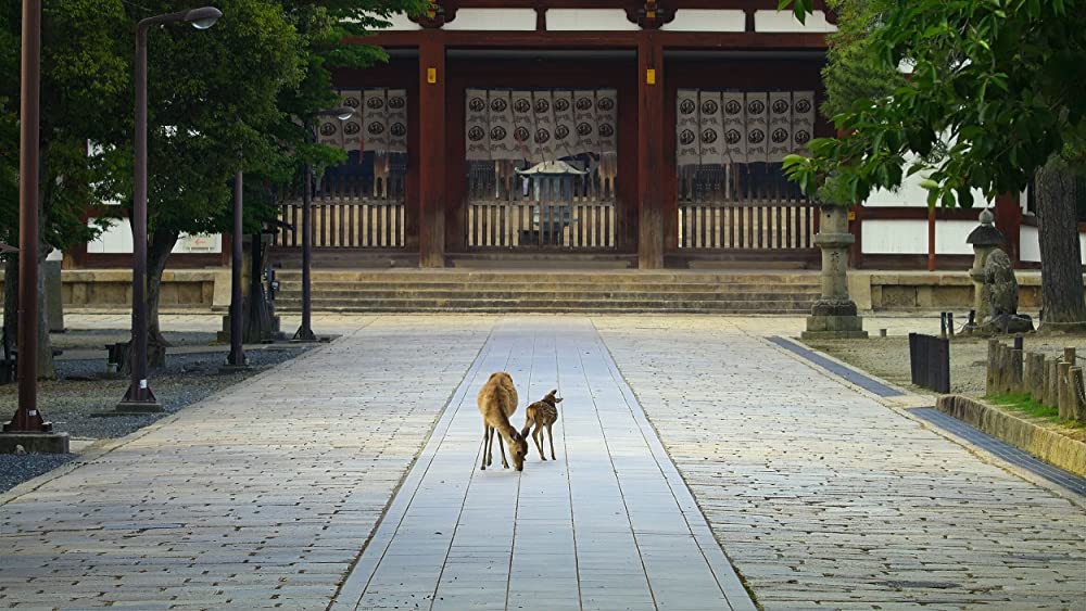 その年、地球が変わったの画像