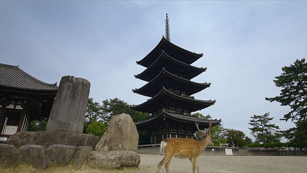 その年、地球が変わったの画像