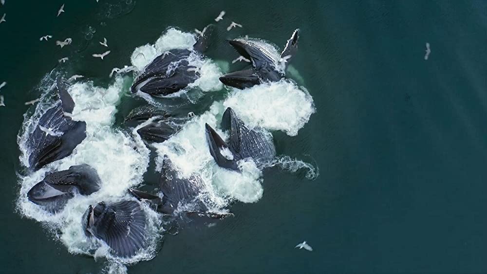 その年、地球が変わったの画像