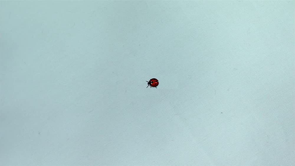 「サイボーグでも大丈夫」の画像