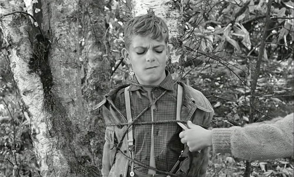 わんぱく戦争の画像