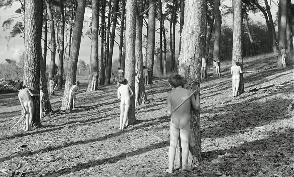 わんぱく戦争の画像