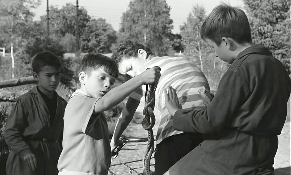 わんぱく戦争の画像