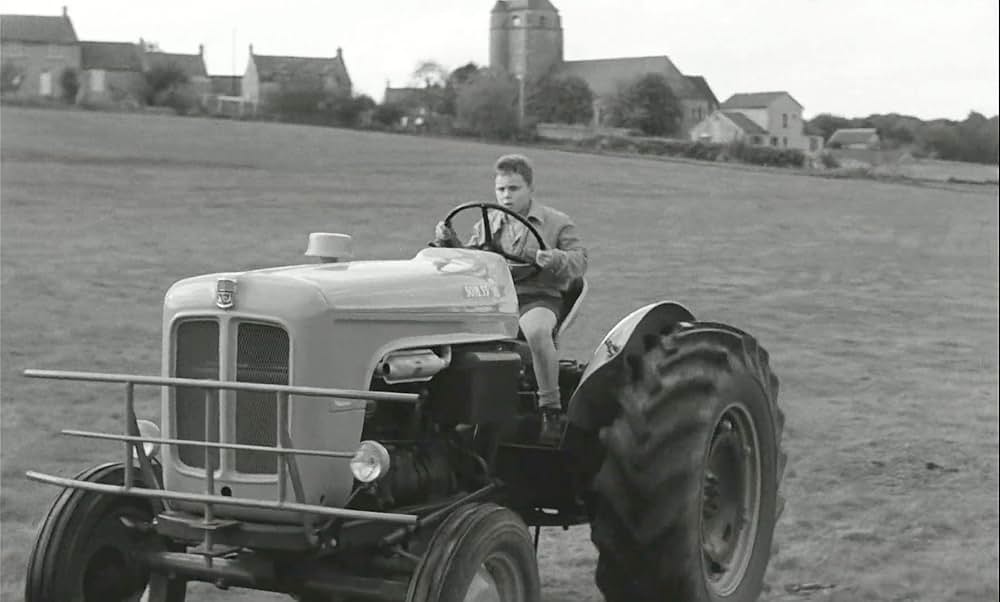 わんぱく戦争の画像