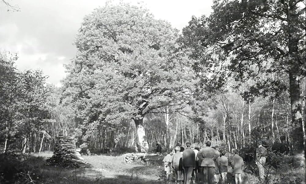 わんぱく戦争の画像