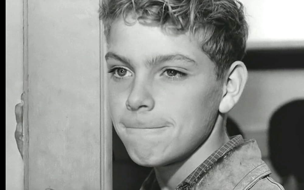 わんぱく戦争の画像