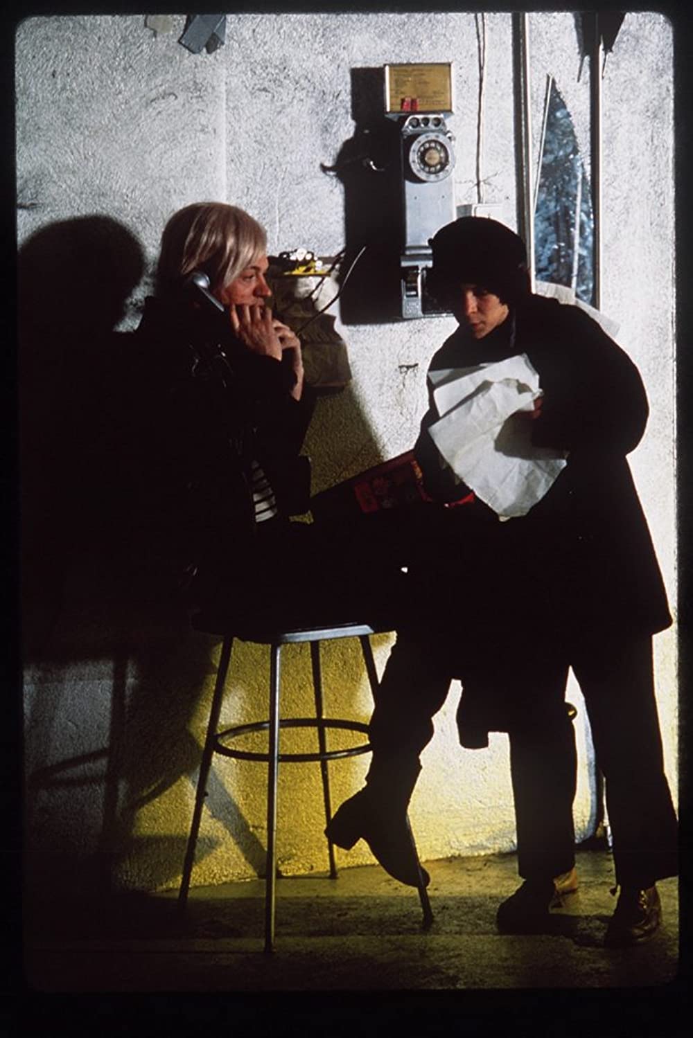 I SHOT ANDY WARHOL アンディ・ウォーホルを撃った女の画像