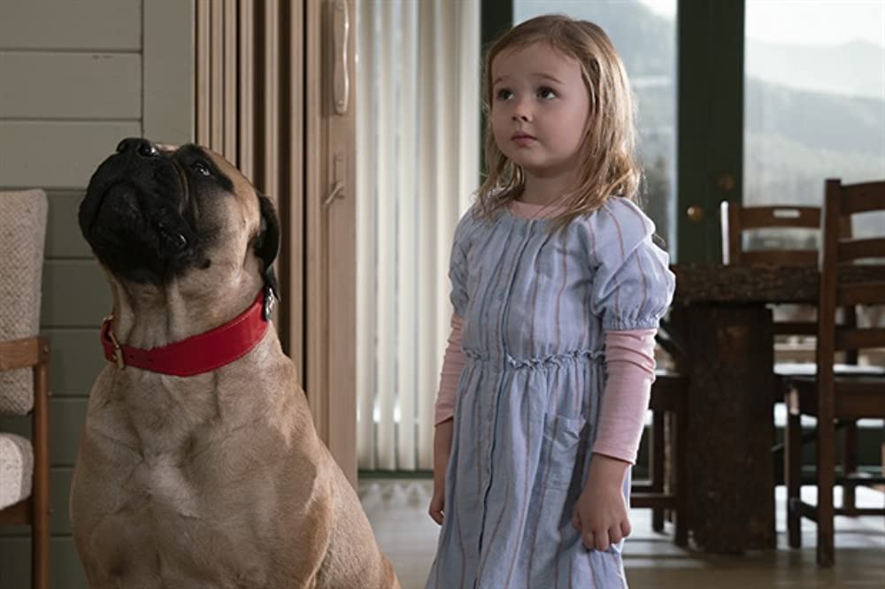 ファイティング・with・ファイアの画像