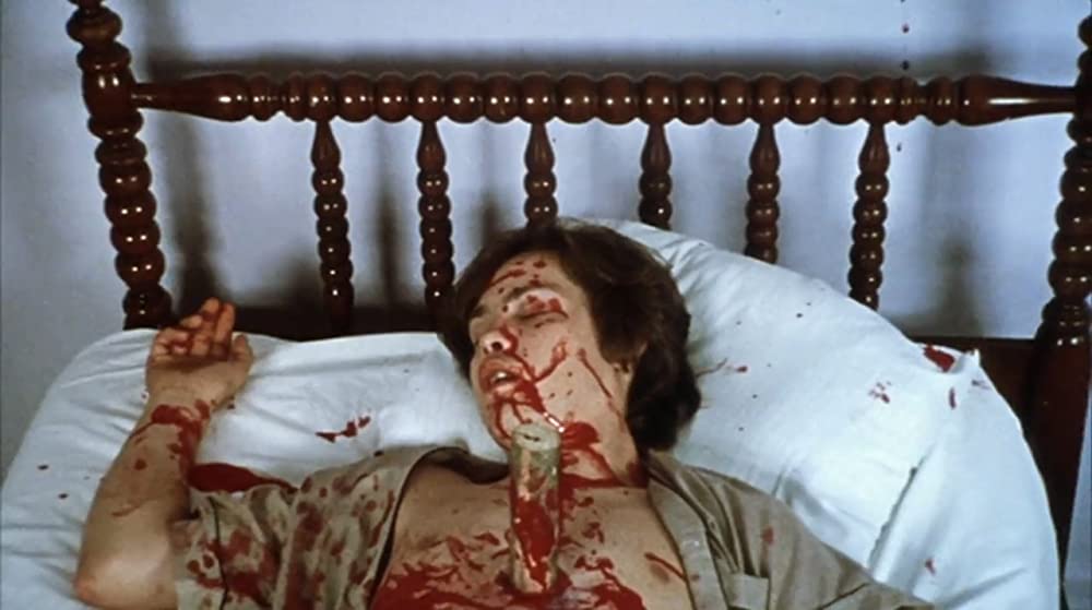 マーティン／呪われた吸血少年の画像