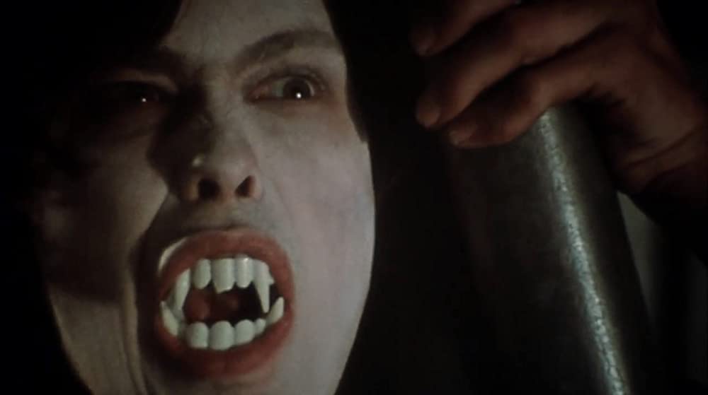 マーティン／呪われた吸血少年の画像