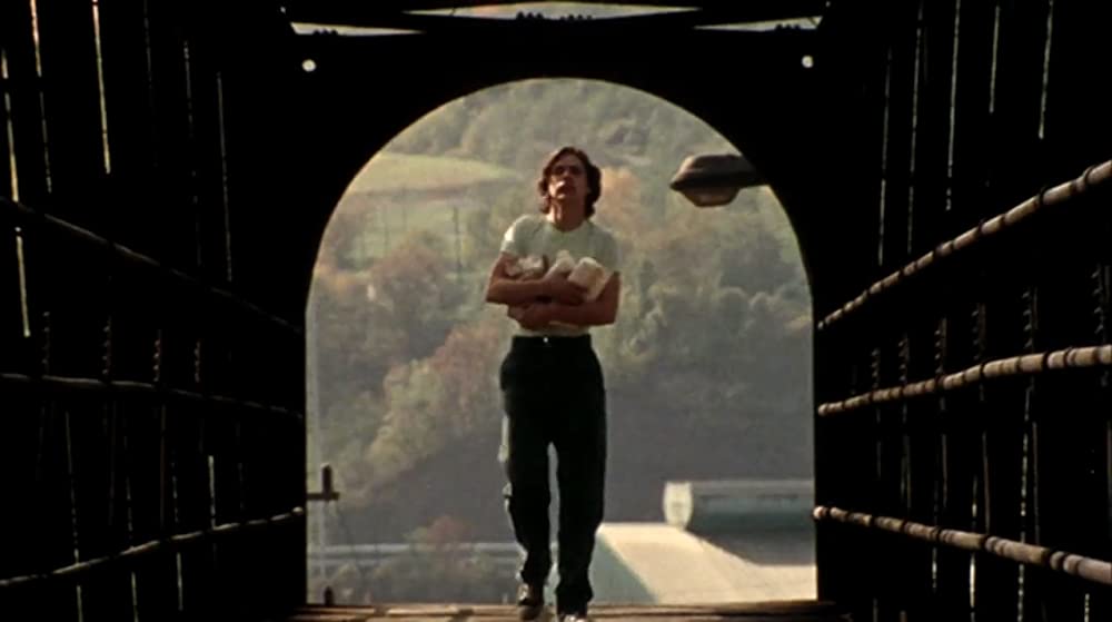 マーティン／呪われた吸血少年の画像