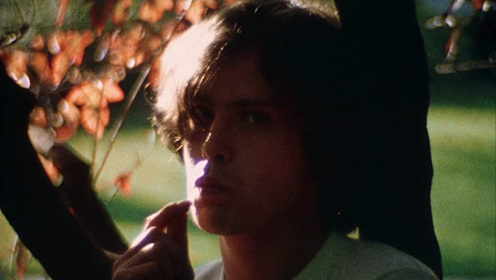 マーティン／呪われた吸血少年の画像