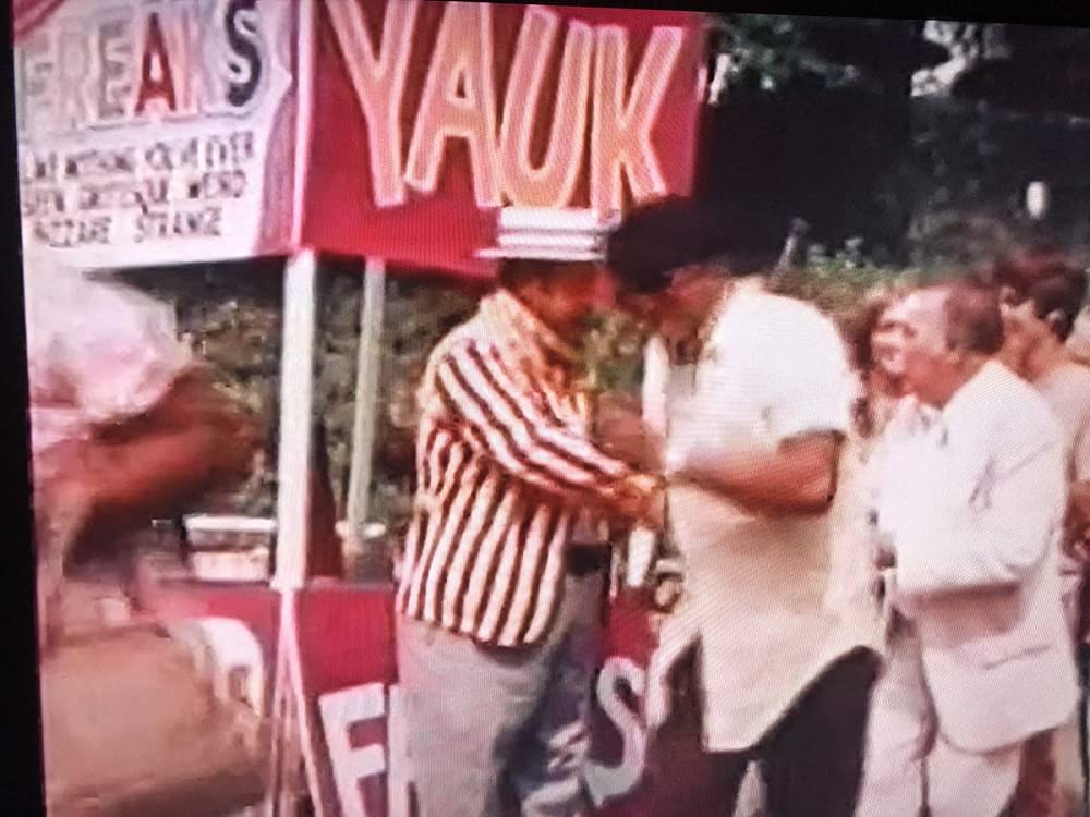 アミューズメント・パークの画像