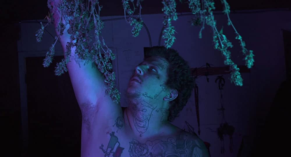 クレストーンの画像