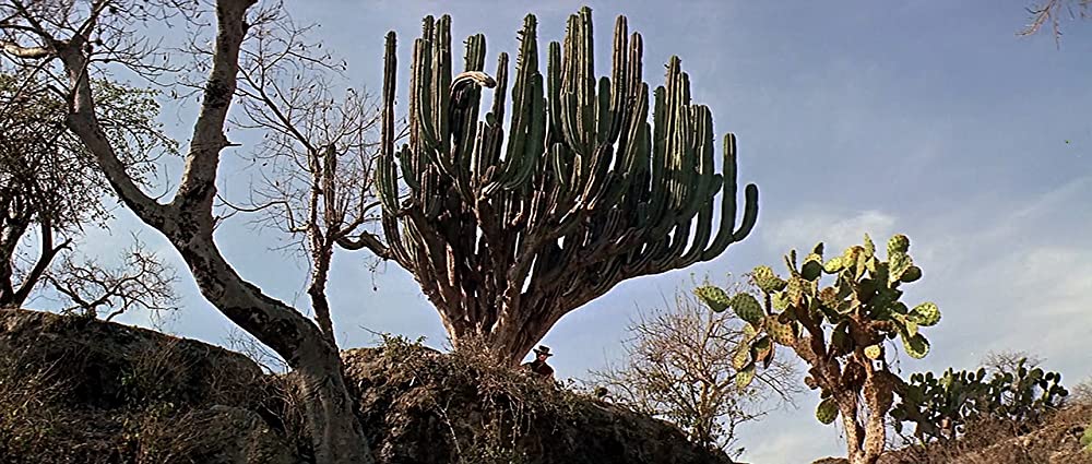 「真昼の死闘」クリント・イーストウッドの画像