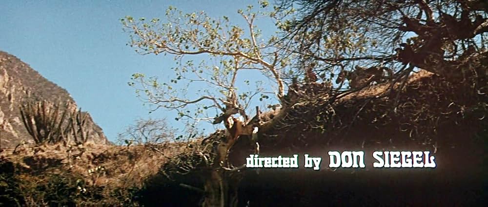 「真昼の死闘」の画像