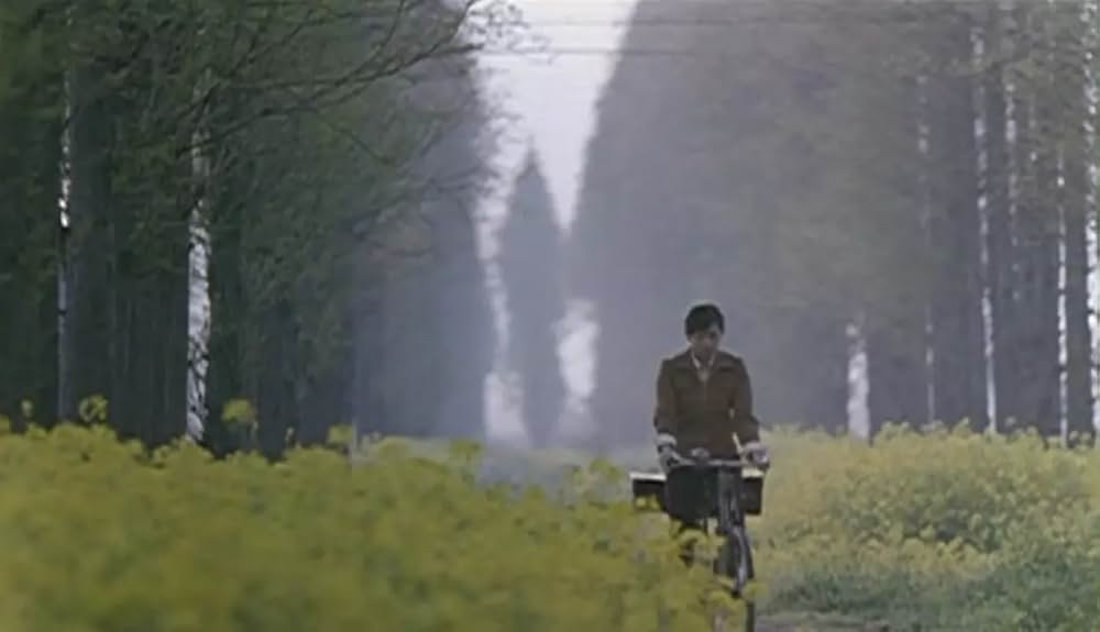 ジャスミンの花開くの画像