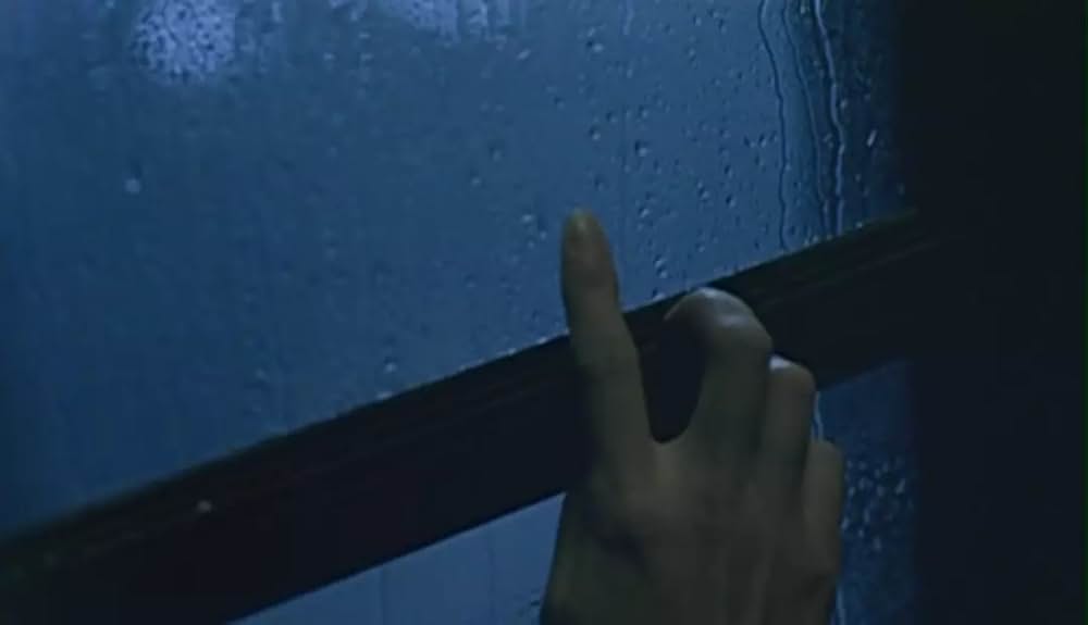 ジャスミンの花開くの画像