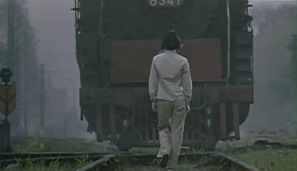 ジャスミンの花開くの画像