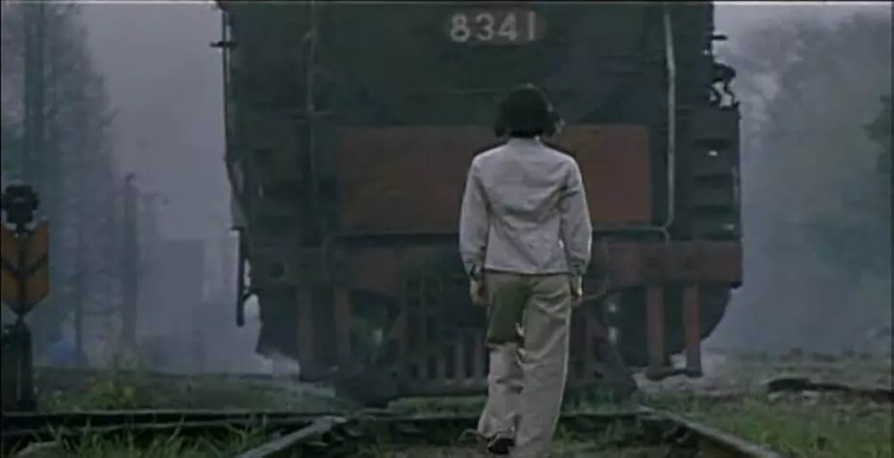 ジャスミンの花開くの画像