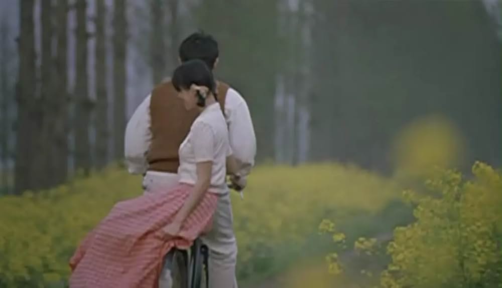 ジャスミンの花開くの画像