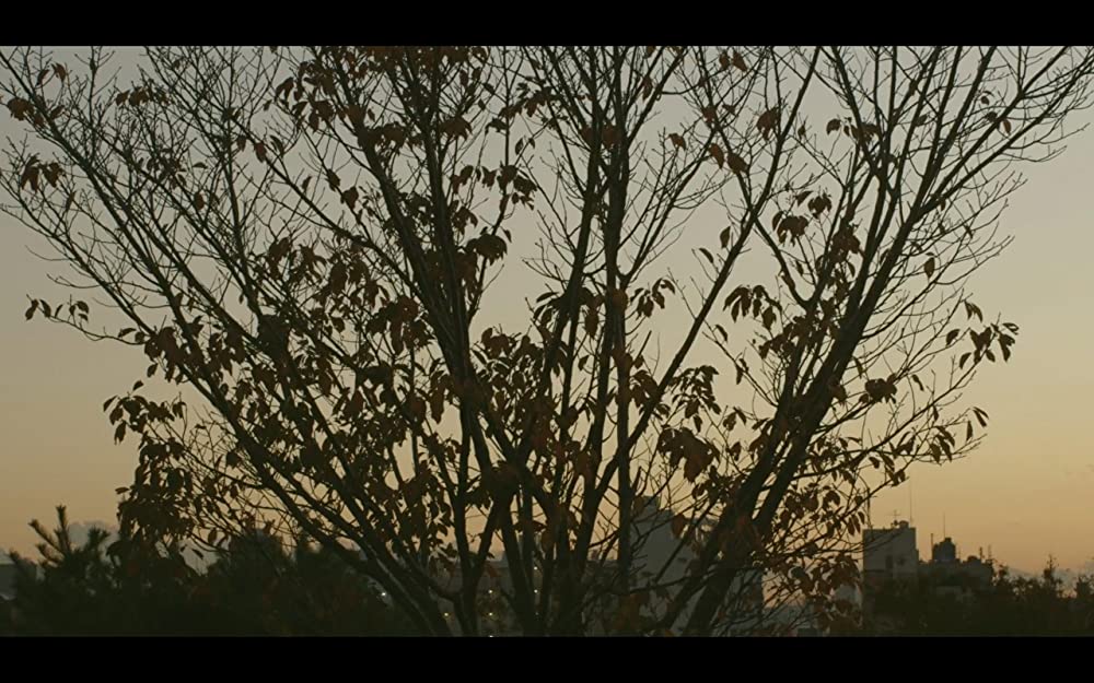 「偶然と想像」占部房子 & 河井青葉の画像