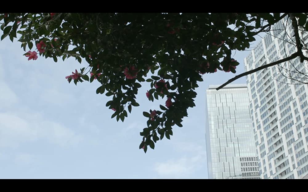 「偶然と想像」の画像