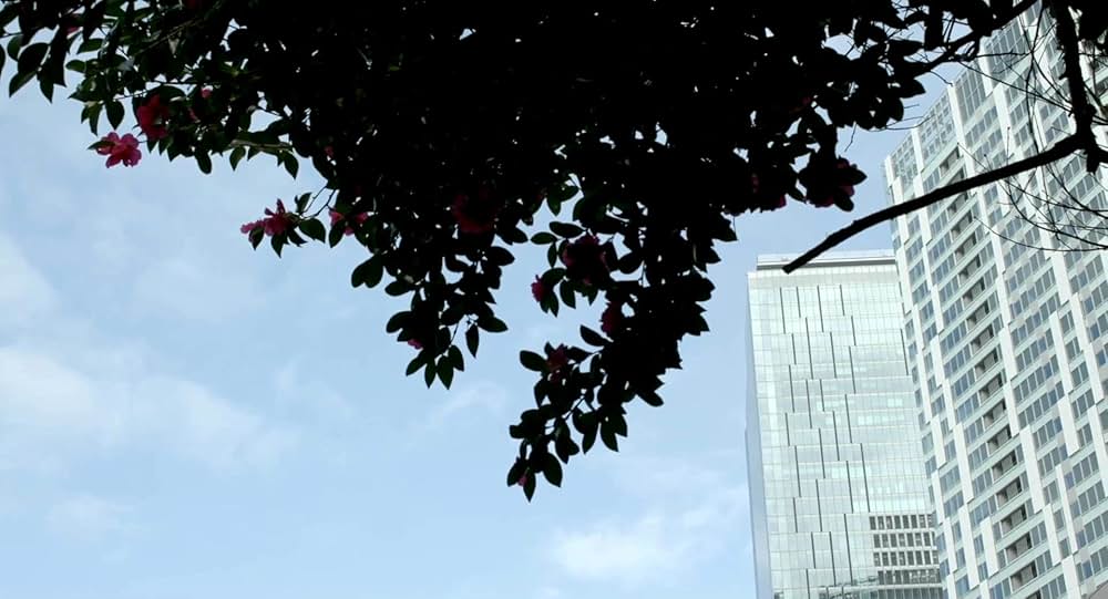 偶然と想像の画像