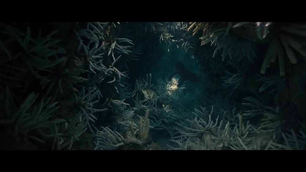 「オールド」の画像