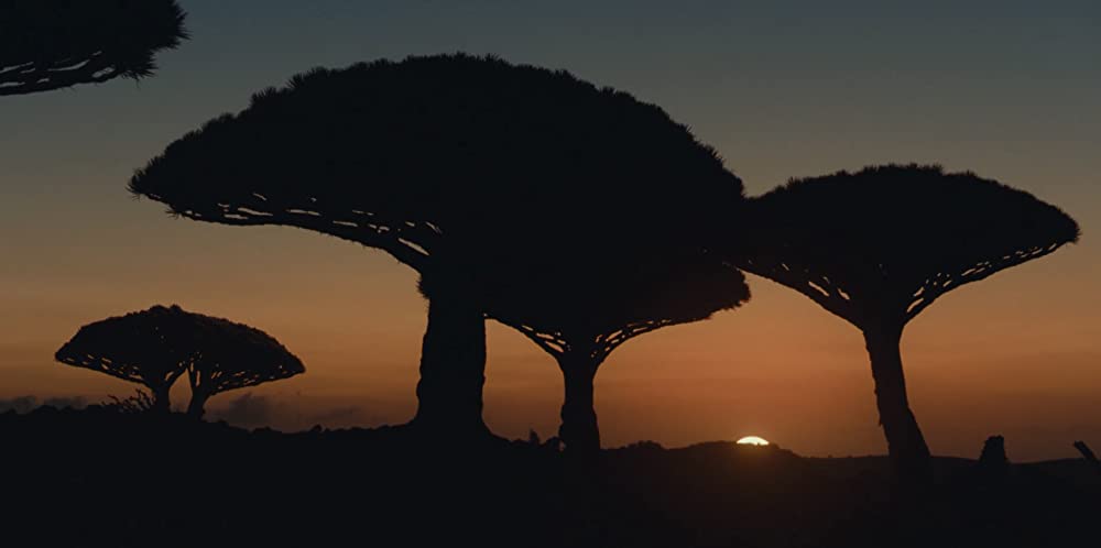 ジュラシック・ワールド／新たなる支配者の画像