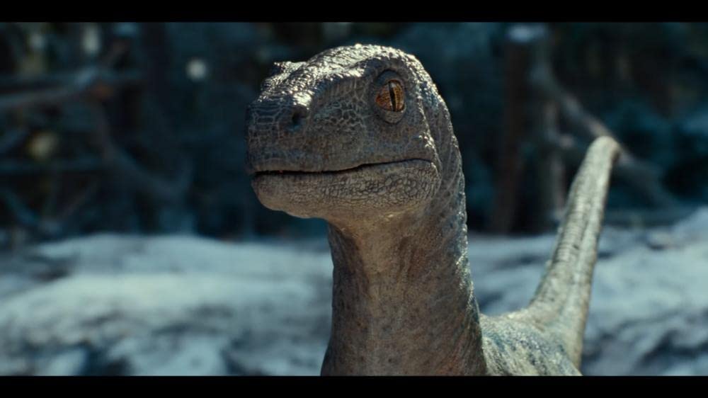 ジュラシック・ワールド／新たなる支配者の画像