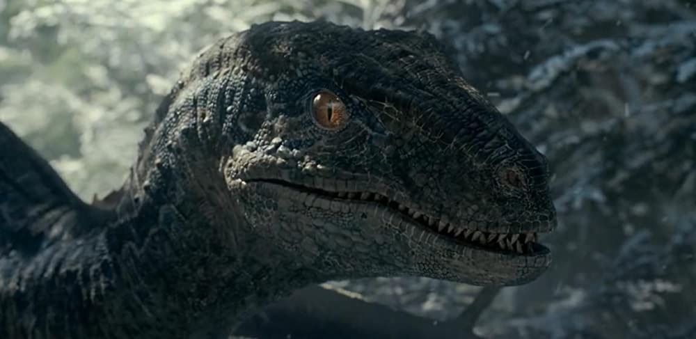 ジュラシック・ワールド／新たなる支配者の画像