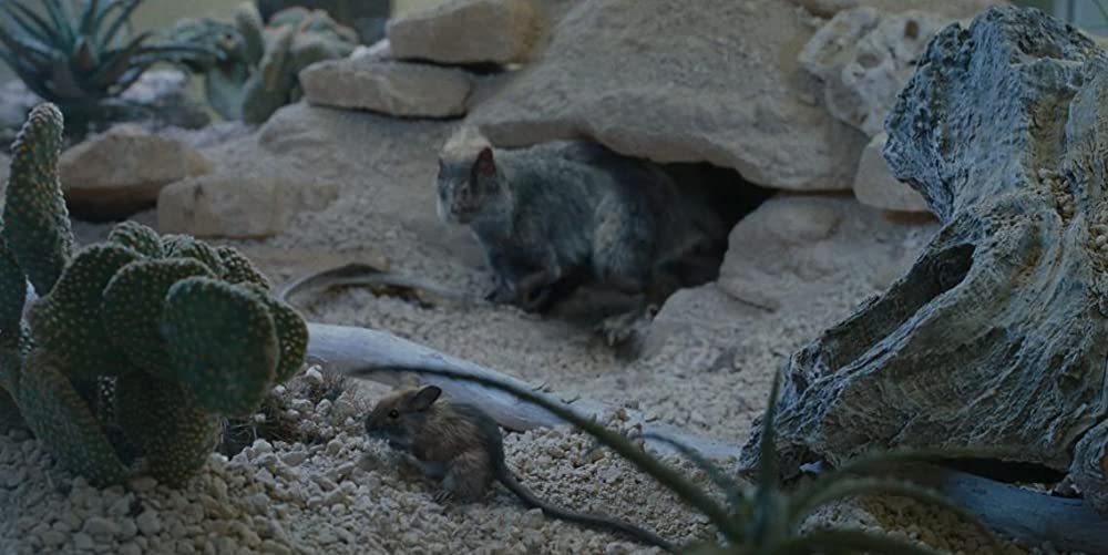 ジュラシック・ワールド／新たなる支配者の画像