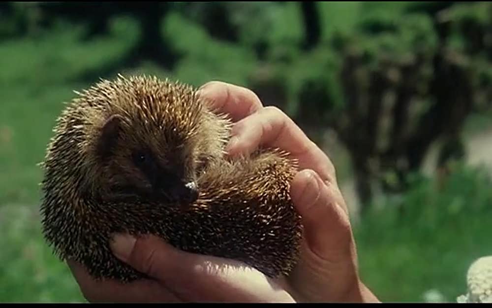 プロビデンスの画像