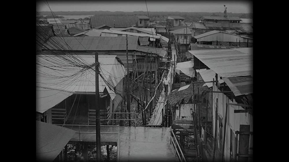 名もなき歌の画像