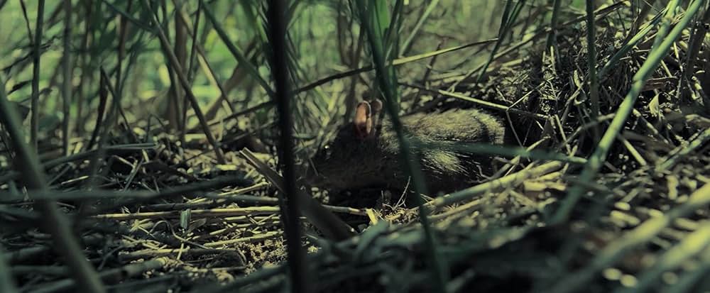 エイト・ハンドレッド 戦場の英雄たちの画像