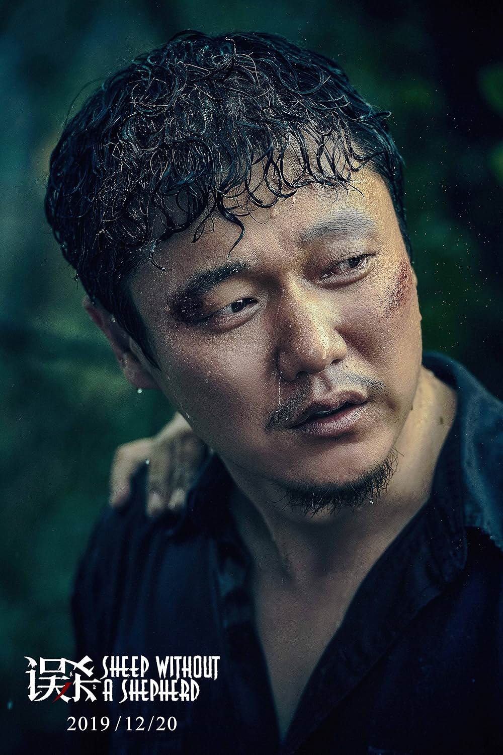 共謀家族の画像