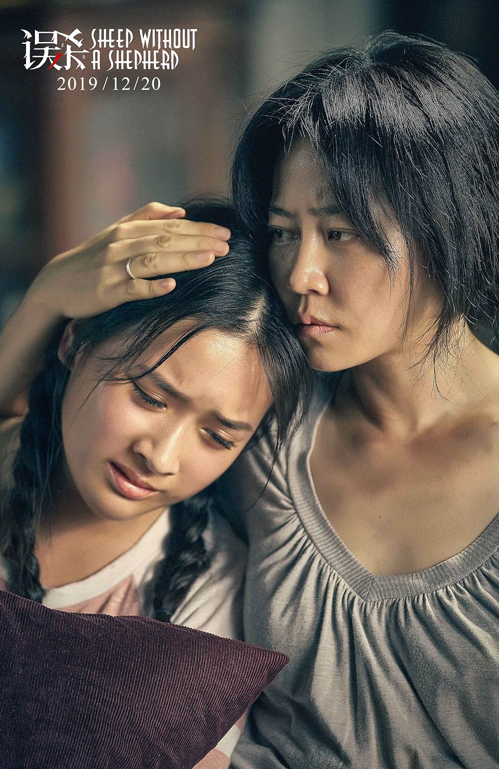 共謀家族の画像