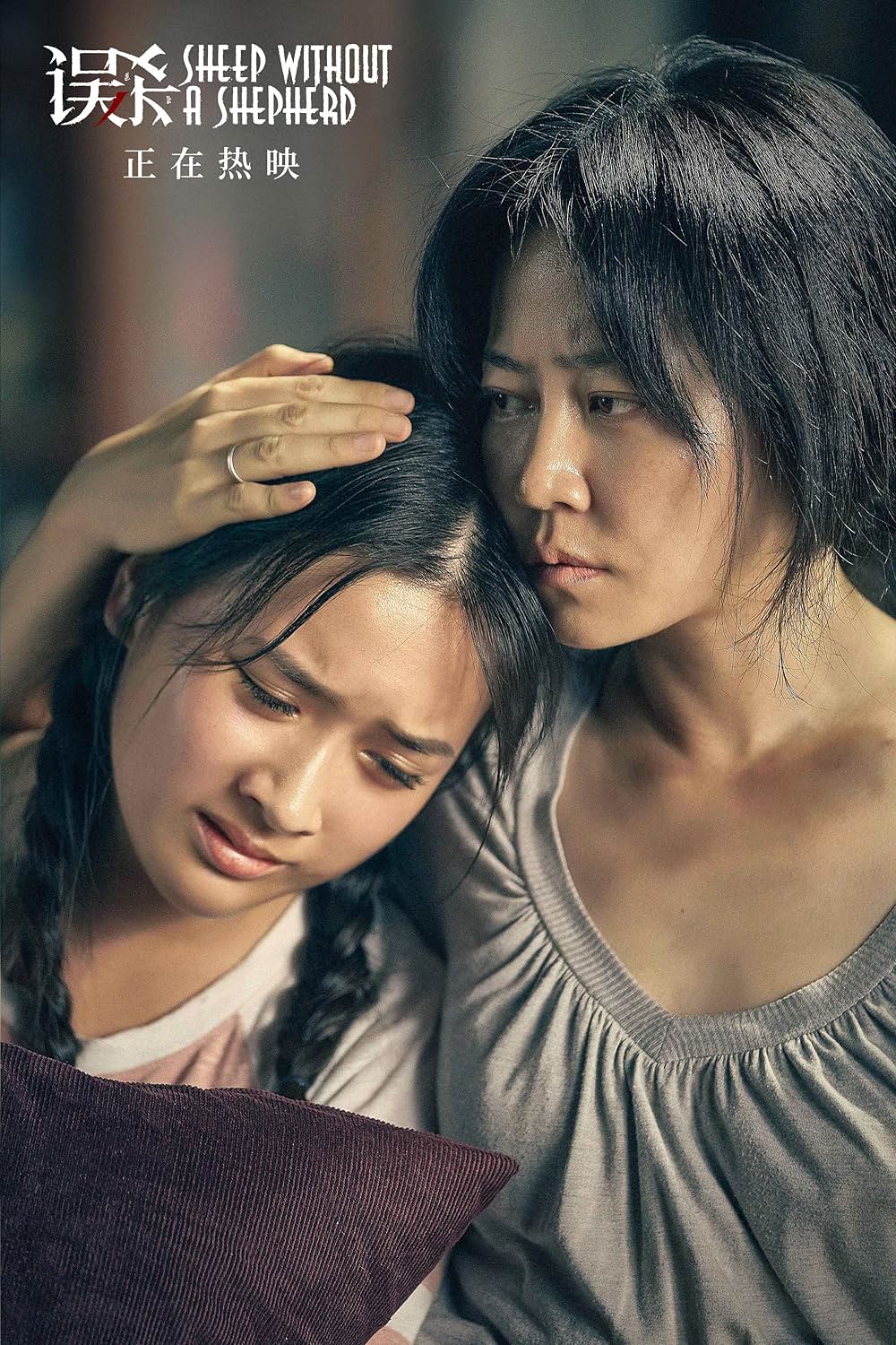 共謀家族の画像