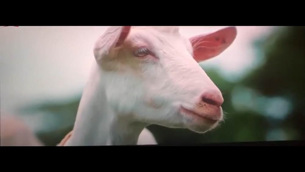 共謀家族の画像