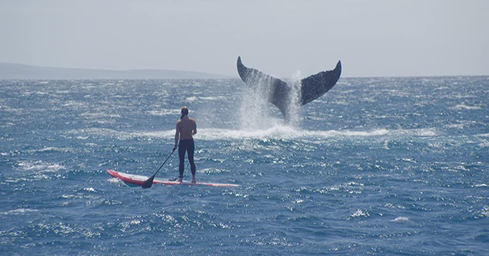 シー・イズ・オーシャンの画像