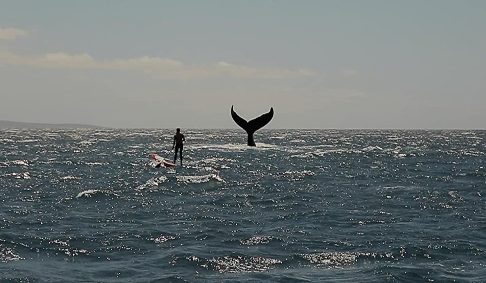 シー・イズ・オーシャンの画像