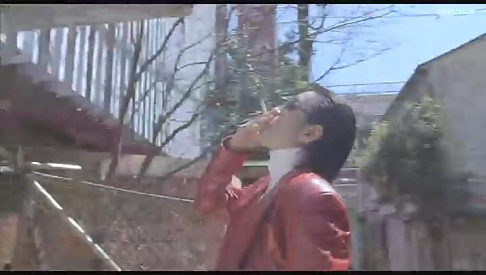 イントゥ・ザ・サンの画像