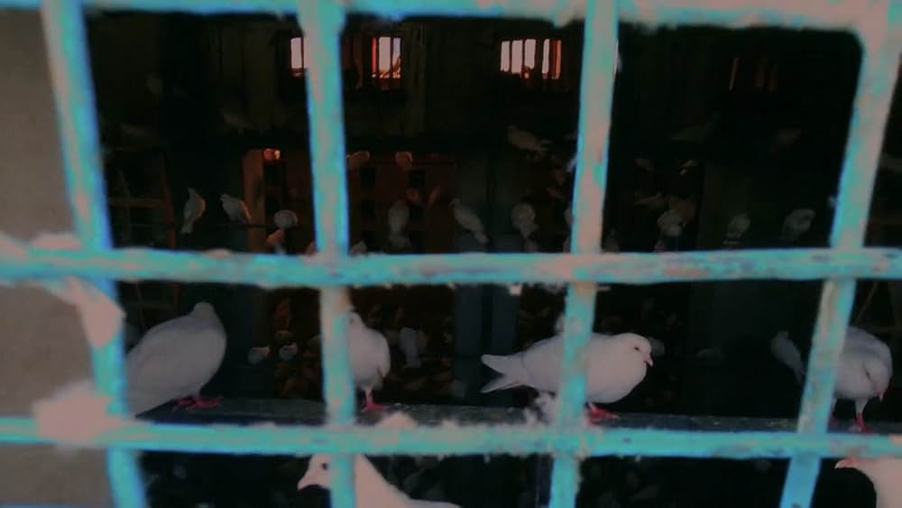 ミッドナイト・トラベラーの画像