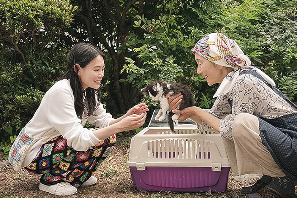 猫は逃げたの画像