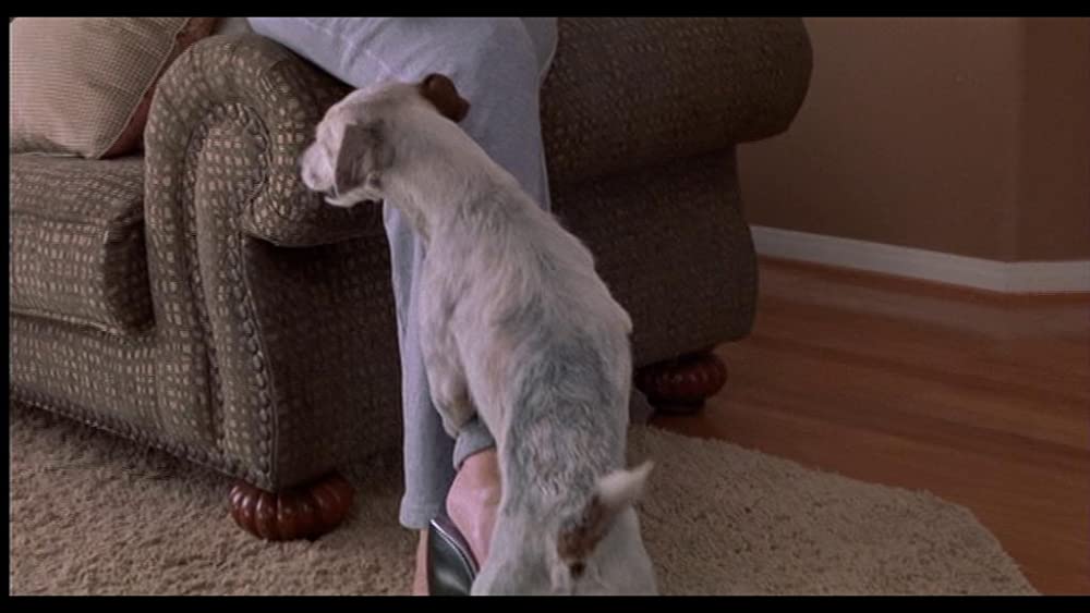 「オレンジカウンティ」の画像