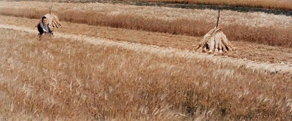 座頭市牢破りの画像