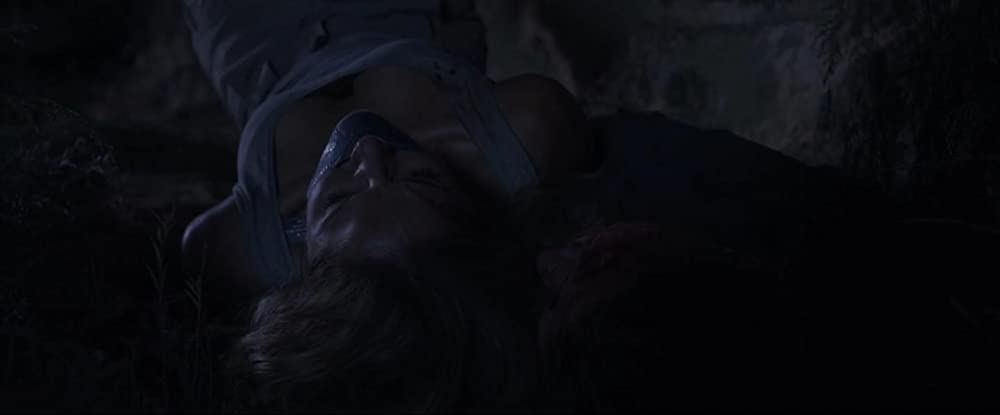 ＲＥＶＥＮＧＥ リベンジ 鮮血の処刑人の画像