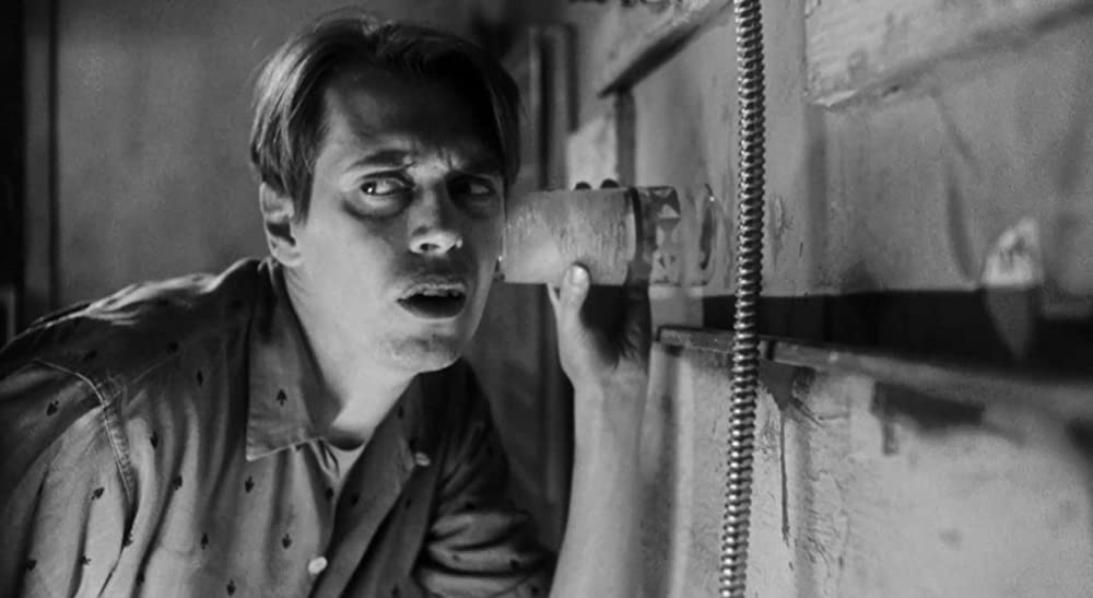 「イン・ザ・スープ」スティーブ・ブシェーミの画像